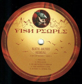 Disque vinyle Kate Bush - Remastered In Vinyl III (6 LP) - 4
