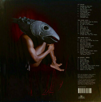 Грамофонна плоча Kate Bush - Vinyl Box 4 (4 LP) - 17