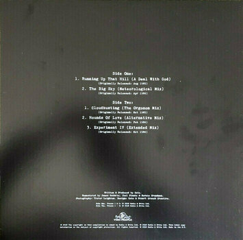 Vinyl Record Kate Bush - Vinyl Box 4 (4 LP) - 11