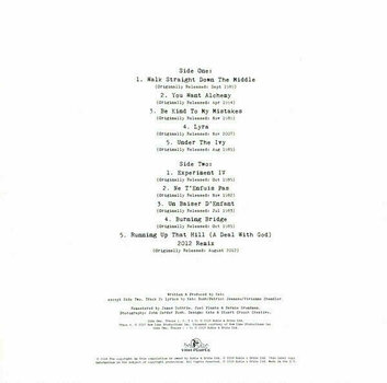 Vinyl Record Kate Bush - Vinyl Box 4 (4 LP) - 13