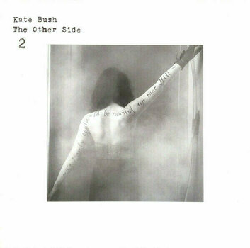Vinyl Record Kate Bush - Vinyl Box 4 (4 LP) - 14