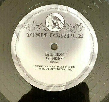 Disco de vinilo Kate Bush - Vinyl Box 4 (4 LP) - 2