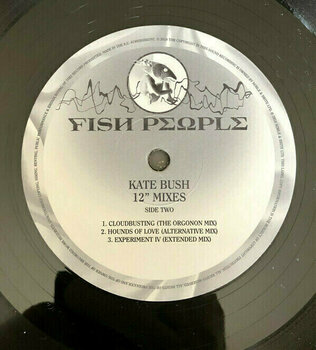 Vinylskiva Kate Bush - Vinyl Box 4 (4 LP) - 3