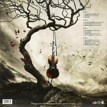 Vinyylilevy Saxon - Unplugged And Strung Up (2 LP) - 6