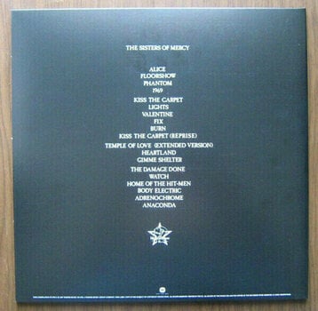 LP platňa Sisters Of Mercy - Some Girls Wonder By Mistake - Limited Box (4 LP) - 3