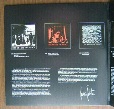 Vinylplade Sisters Of Mercy - Some Girls Wonder By Mistake - Limited Box (4 LP) - 5