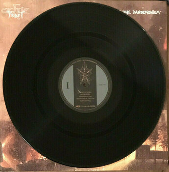 Vinyylilevy Celtic Frost - Into The Pandemonium (2 LP) - 7