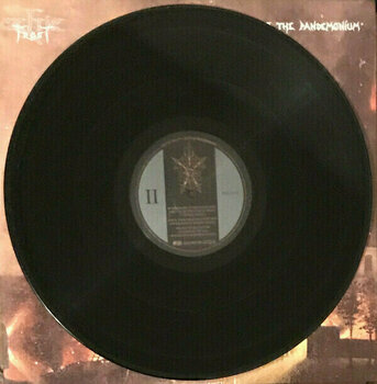 Disco de vinil Celtic Frost - Into The Pandemonium (2 LP) - 12