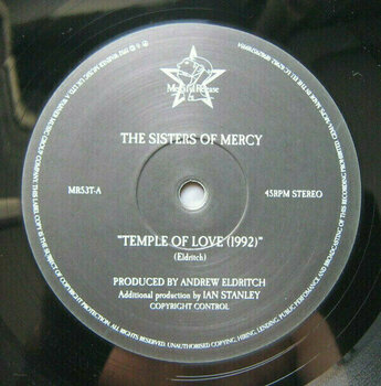 Disco de vinil Sisters Of Mercy - Some Girls Wonder By Mistake - Limited Box (4 LP) - 12
