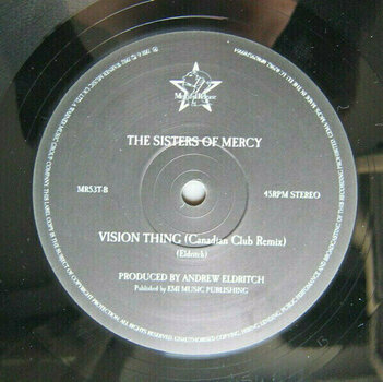 LP platňa Sisters Of Mercy - Some Girls Wonder By Mistake - Limited Box (4 LP) - 13