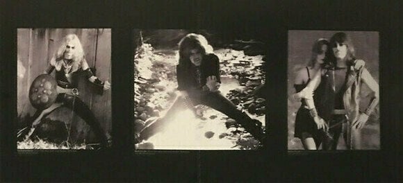 Płyta winylowa Celtic Frost - Morbid Tales (2 LP) - 10