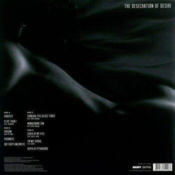 Vinyl Record Dave Clarke - The Desecration Of Desire (2 LP) - 2