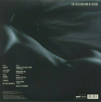 Vinyl Record Dave Clarke - The Desecration Of Desire (Limited Edition) (2 LP) - 2