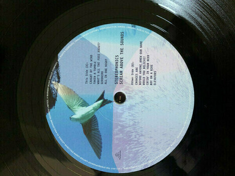 Δίσκος LP Stereophonics - Scream Above The Sounds (LP) - 5