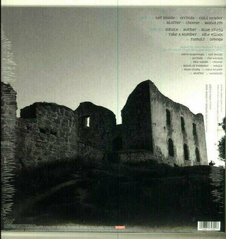 Vinyl Record Stone Sour - RSD - Stone Sour (LP + CD) - 2