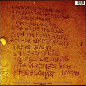 Vinylplade The Streets - Everything Is Borrowed (LP) - 2