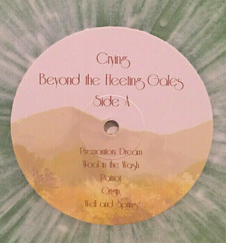 Disque vinyle Crying - Beyond The Fleeting Gales (LP) - 3