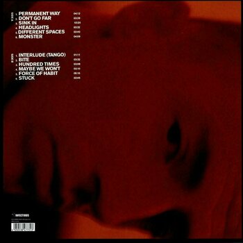 Vinyl Record Charlie Cunningham - Permanent Way (LP) - 2