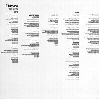 Hanglemez Dawes - Stories Don't End (LP) - 9