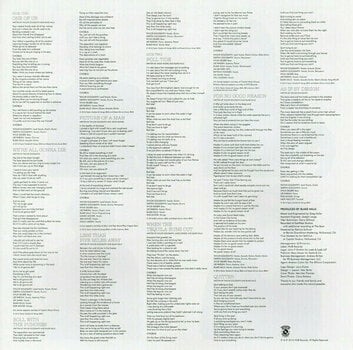 Vinyl Record Dawes - We're All Gona Die (LP) - 5