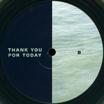 Disque vinyle Death Cab For Cutie - Thank You For Today (LP) - 7