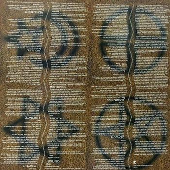 Disc de vinil Disturbed - Believe (LP) - 4