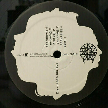 LP plošča Disturbed - Believe (LP) - 6