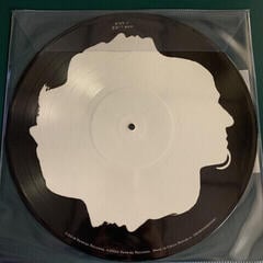 Schallplatte Disturbed - Believe (Picture Disc) (LP) - 1