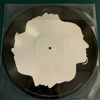 Vinyl Record Disturbed - Believe (Picture Disc) (LP) - 2