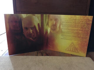 Vinylplate Disturbed Ten Thousand Fists (2 LP) - 3