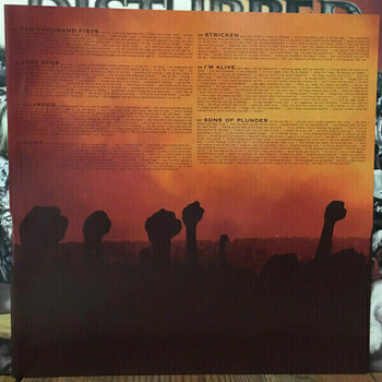 Hanglemez Disturbed - Ten Thousand Fists (2 LP) - 4