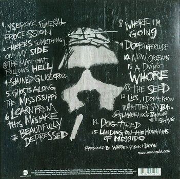 Disque vinyle Down - Down II (A Bustle In Your Hedgerow...) (2 LP) - 3