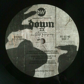 Disque vinyle Down - Down II (A Bustle In Your Hedgerow...) (2 LP) - 5