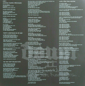 Disque vinyle Down - Down II (A Bustle In Your Hedgerow...) (2 LP) - 8