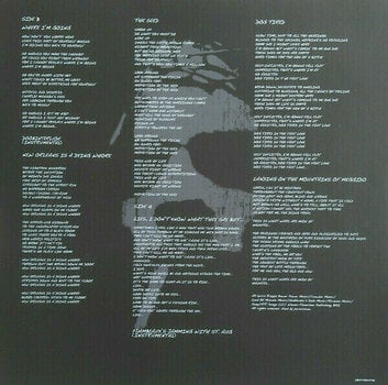 Disque vinyle Down - Down II (A Bustle In Your Hedgerow...) (2 LP) - 9