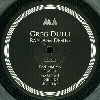 Vinyl Record Greg Dulli - Random Desire (LP) - 5