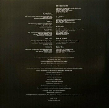 Vinyl Record Greg Dulli - Random Desire (LP) - 10