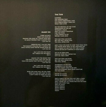 LP platňa Greg Dulli - Random Desire (LP) - 13