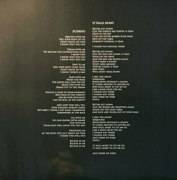 LP ploča Greg Dulli - Random Desire (LP) - 14