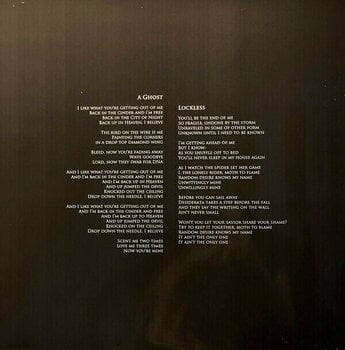 Vinyl Record Greg Dulli - Random Desire (LP) - 15