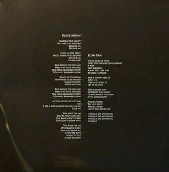 LP deska Greg Dulli - Random Desire (LP) - 16