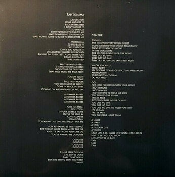 Disque vinyle Greg Dulli - Random Desire (Indies) (Clear Coloured) (LP) - 12