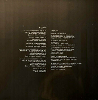 Vinyl Record Greg Dulli - Random Desire (Indies) (Clear Coloured) (LP) - 15