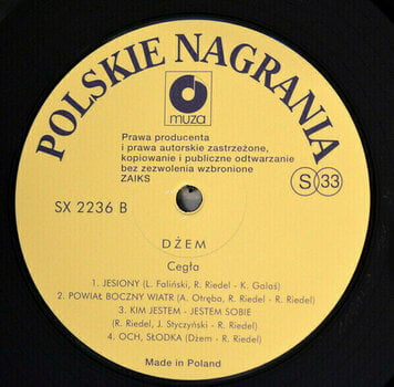 Schallplatte Dzem - Cegla (LP) - 4