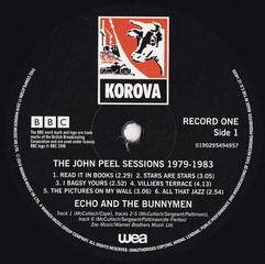 Schallplatte Echo & The Bunnymen - The John Peel Sessions 1979-1983 (2 LP) - 2