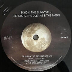 Schallplatte Echo & The Bunnymen - The Stars, The Oceans & The Moon (2 LP) - 1