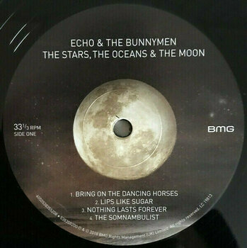 Vinyl Record Echo & The Bunnymen - The Stars, The Oceans & The Moon (2 LP) - 2