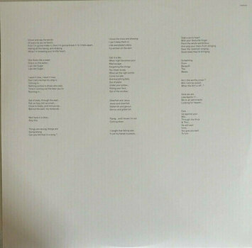 Disque vinyle Echo & The Bunnymen - The Stars, The Oceans & The Moon (2 LP) - 9