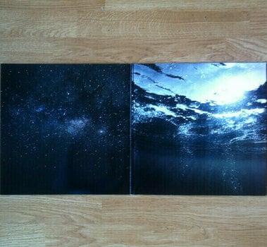 Vinylplade Echo & The Bunnymen - The Stars, The Oceans & The Moon (Indies Exclusive) (2 LP) - 10
