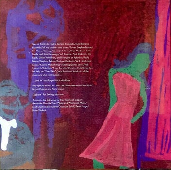 LP platňa Alejandro Escovedo - With These Hands (2 LP) - 9